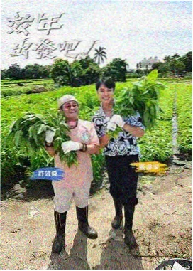 都市急诊室美剧封面